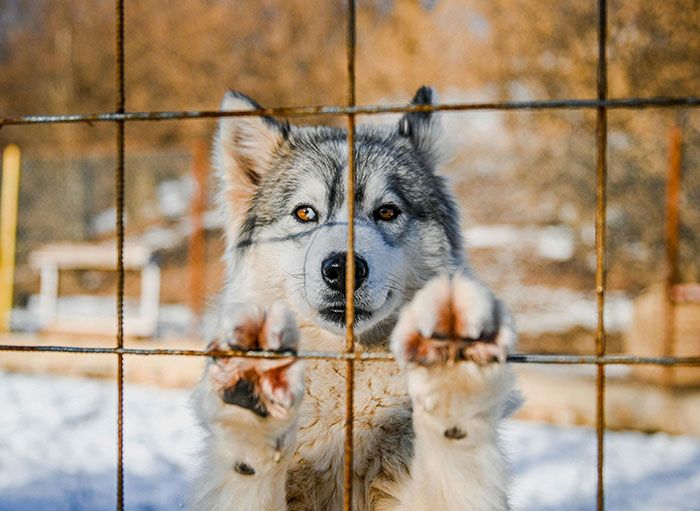 “Window Cleaners”: 50 Industries That Are Way More Dark And Sinister Than Most Realize