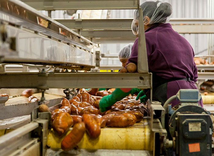 “Window Cleaners”: 50 Industries That Are Way More Dark And Sinister Than Most Realize