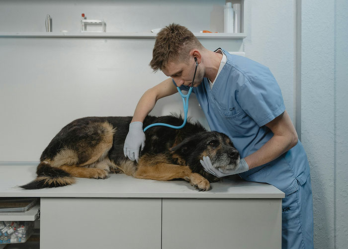 50 People Take The Chance To Say “It Doesn’t Work Like That” About Their Jobs In This Thread