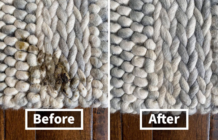 Poop Happens, But The Smell Doesn't Have To. This Enzyme Pet Odor Eliminator For Home Is A Lifesaver