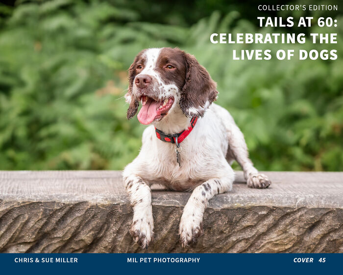 Vote For Cover 45 - Yoshi