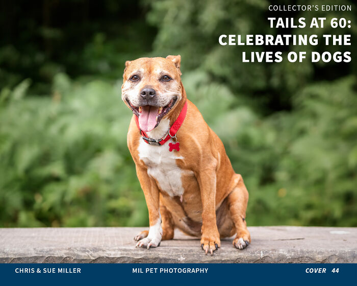 Vote For Cover 44 - Meeker