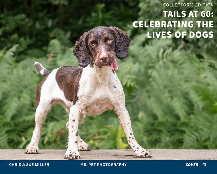 Vote For Cover 43 - Anushka