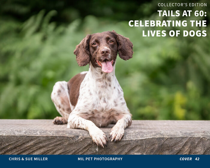 Vote For Cover 42 - Habibi