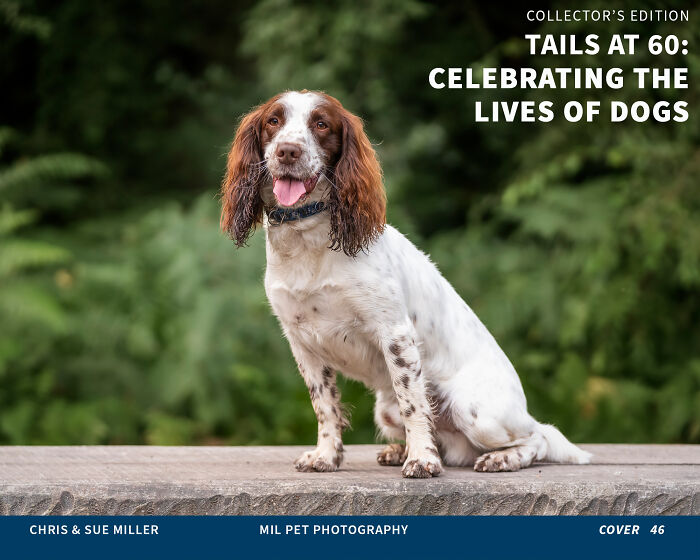 Vote For Cover 46 - Yogi