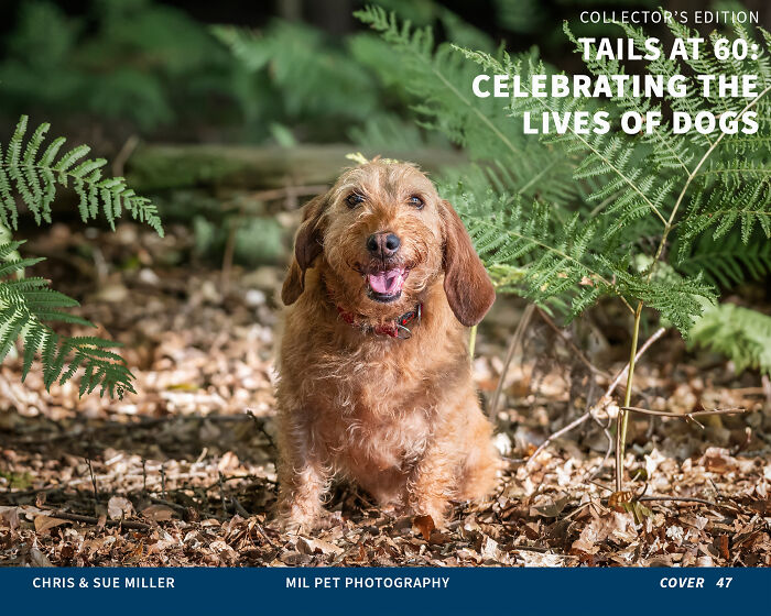 Vote For Cover 47 - Jess