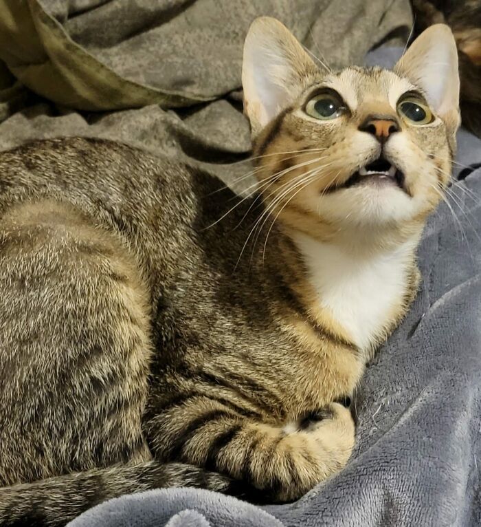 Good Thing My Lil Doofus Is So Cute... LOL