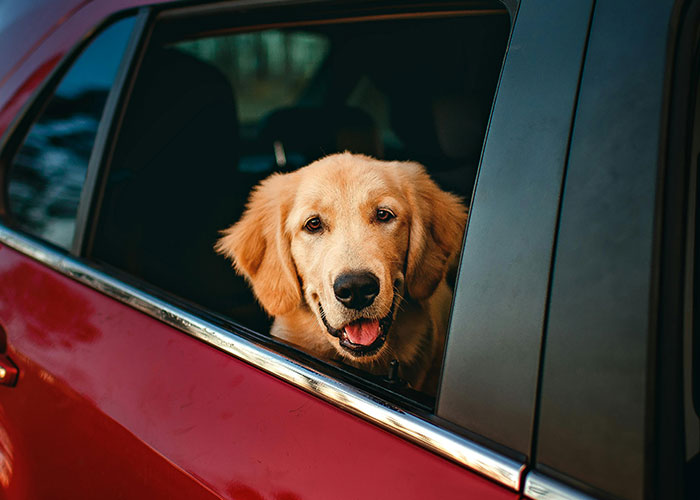 “I Was Known As A Creep For Years”: 30 Men Reveal The Times They Undeservingly Were Called Creepy