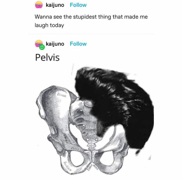 Emotional-Support-Wholesome-Memes