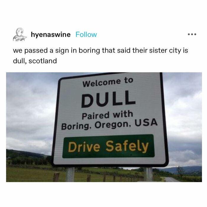 Emotional-Support-Wholesome-Memes