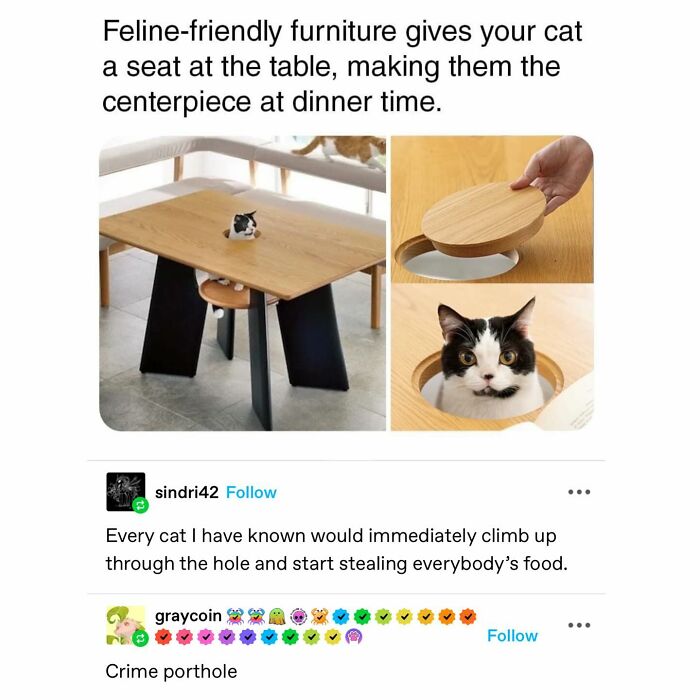 Emotional-Support-Wholesome-Memes