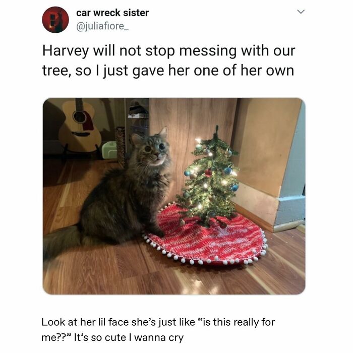 Emotional-Support-Wholesome-Memes