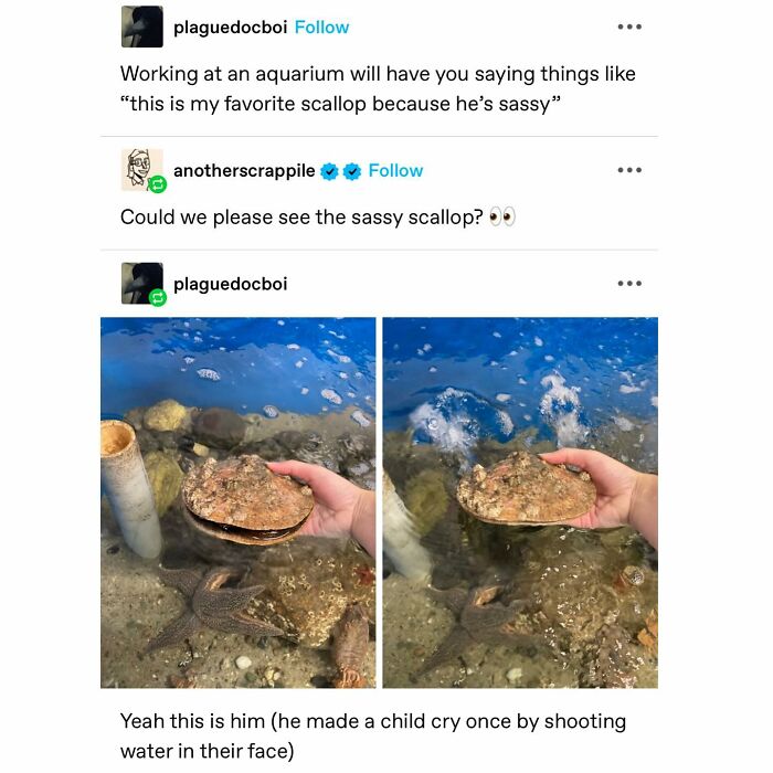 Emotional-Support-Wholesome-Memes