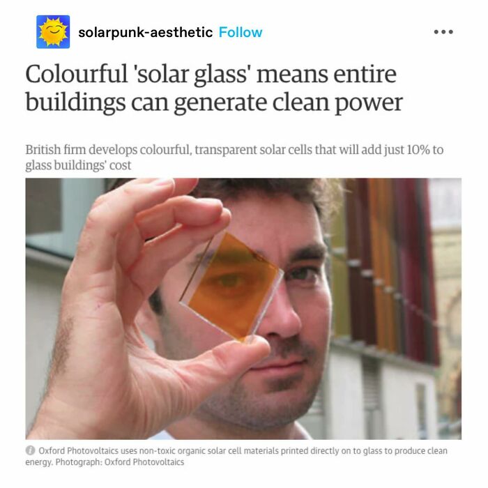 Emotional-Support-Wholesome-Memes