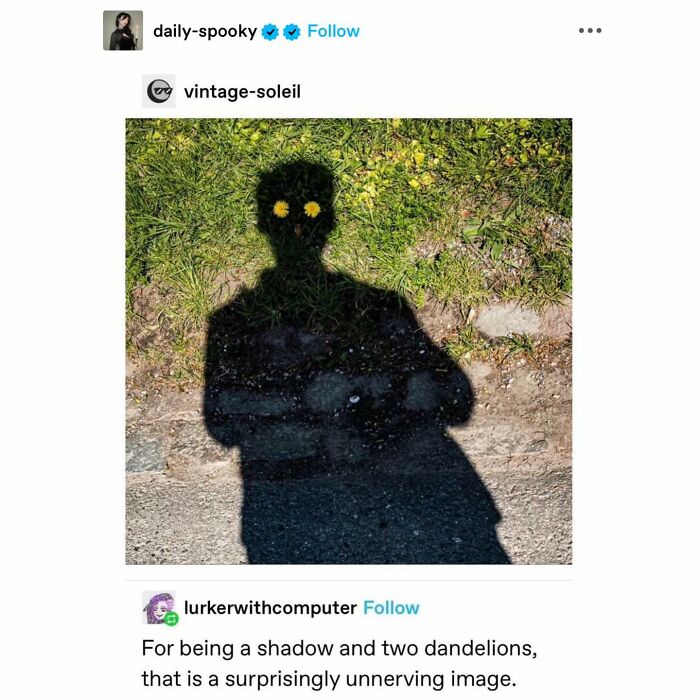 Emotional-Support-Wholesome-Memes