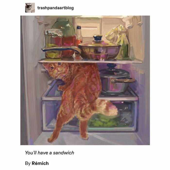 Emotional-Support-Wholesome-Memes