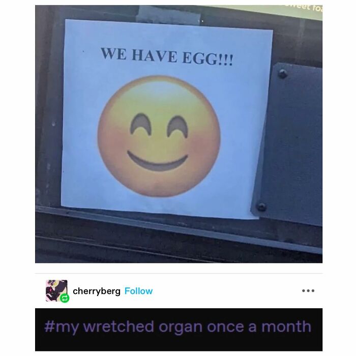 Emotional-Support-Wholesome-Memes