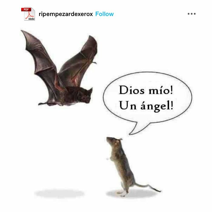 Emotional-Support-Wholesome-Memes