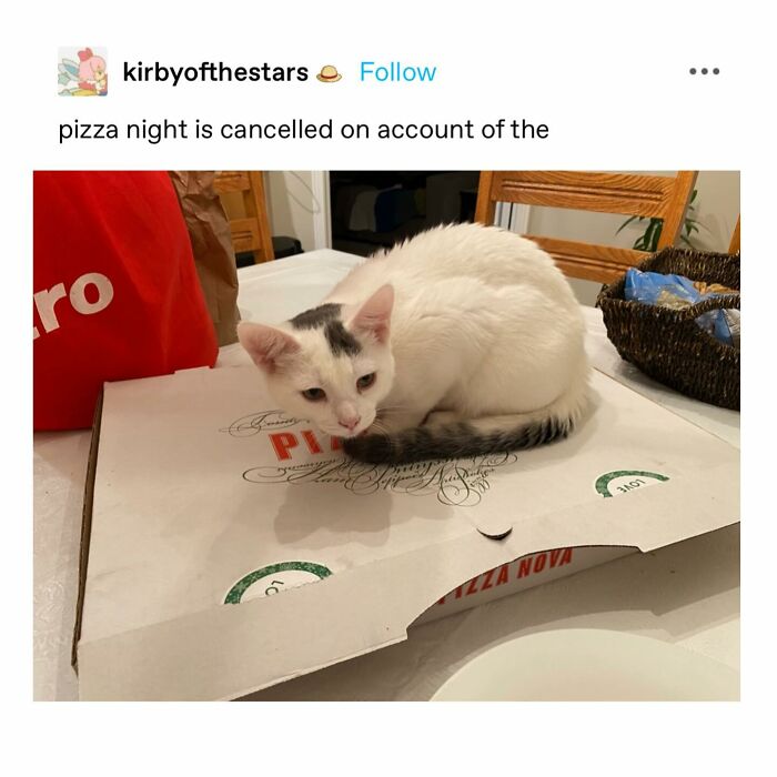 Emotional-Support-Wholesome-Memes