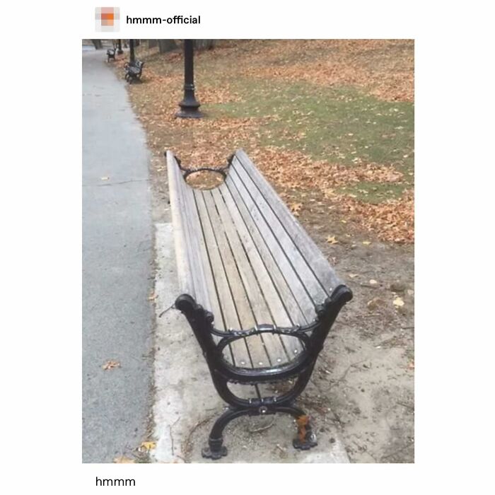 Emotional-Support-Wholesome-Memes