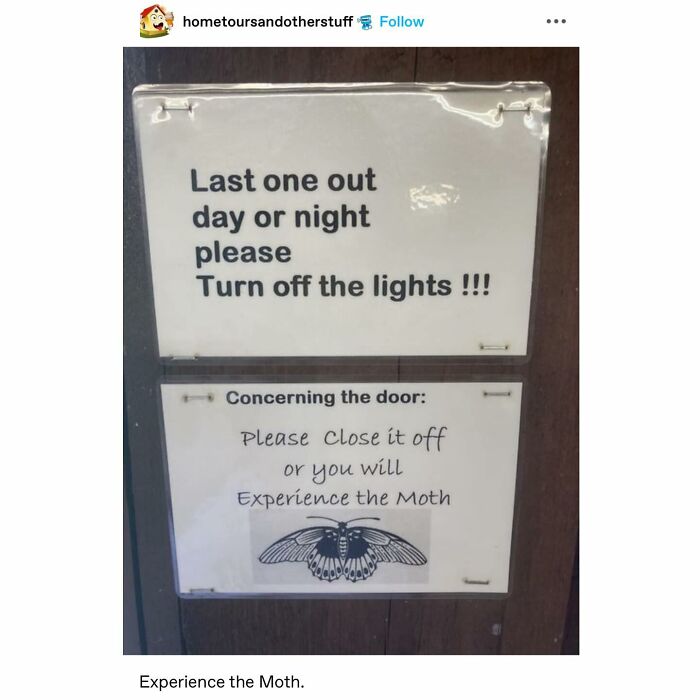 Emotional-Support-Wholesome-Memes