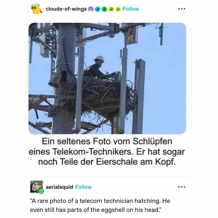 Emotional-Support-Wholesome-Memes