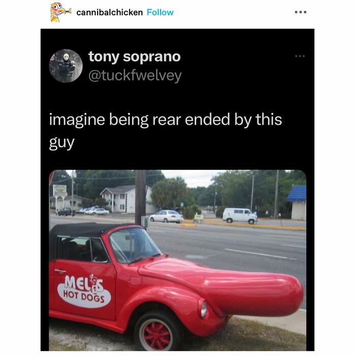 Emotional-Support-Wholesome-Memes