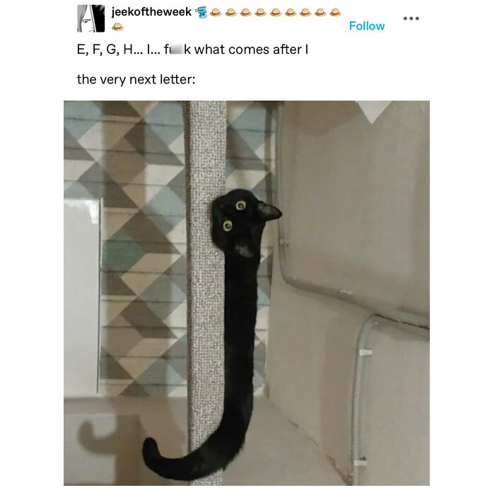 Emotional-Support-Wholesome-Memes