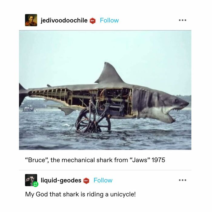 Emotional-Support-Wholesome-Memes