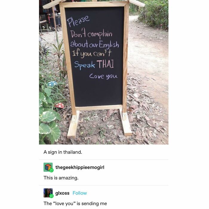 Emotional-Support-Wholesome-Memes