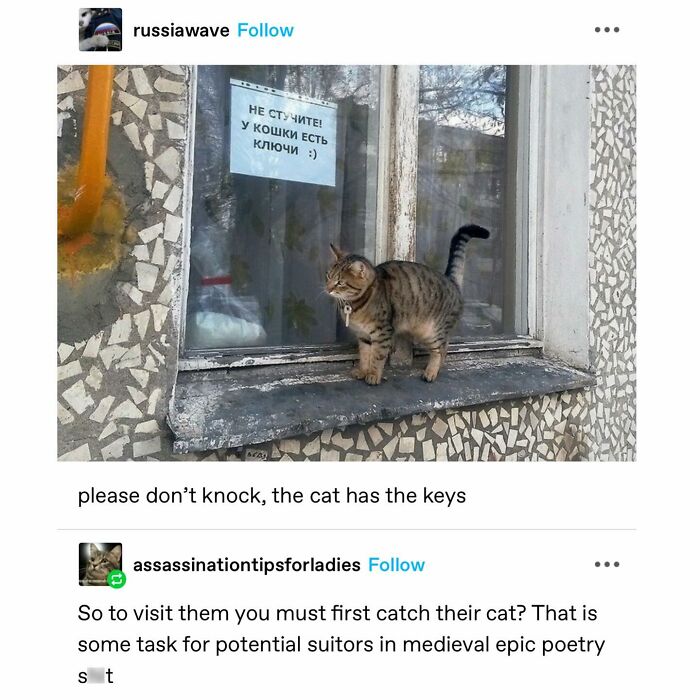 Emotional-Support-Wholesome-Memes