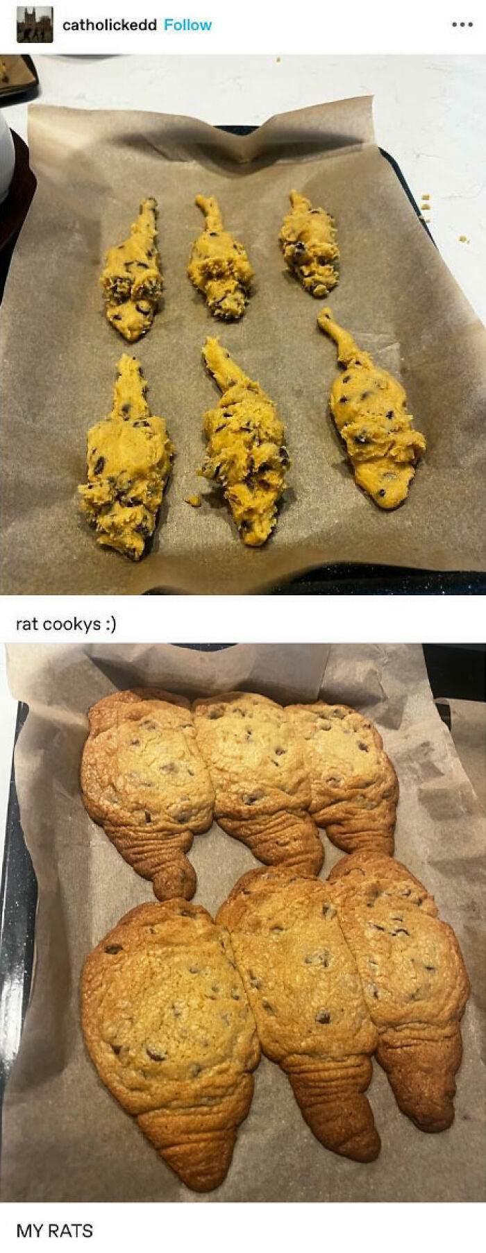 Emotional-Support-Wholesome-Memes