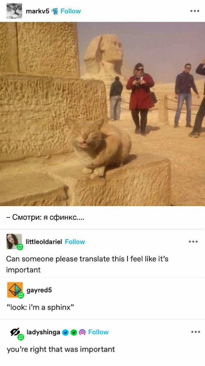 Emotional-Support-Wholesome-Memes