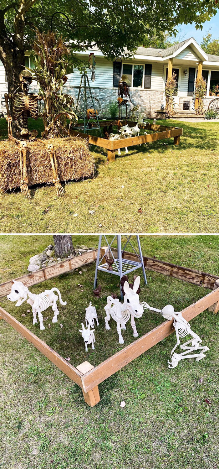 My Fiance Won't Let Me Turn Our Property Into A Farm, So I Decorate It Like It Is