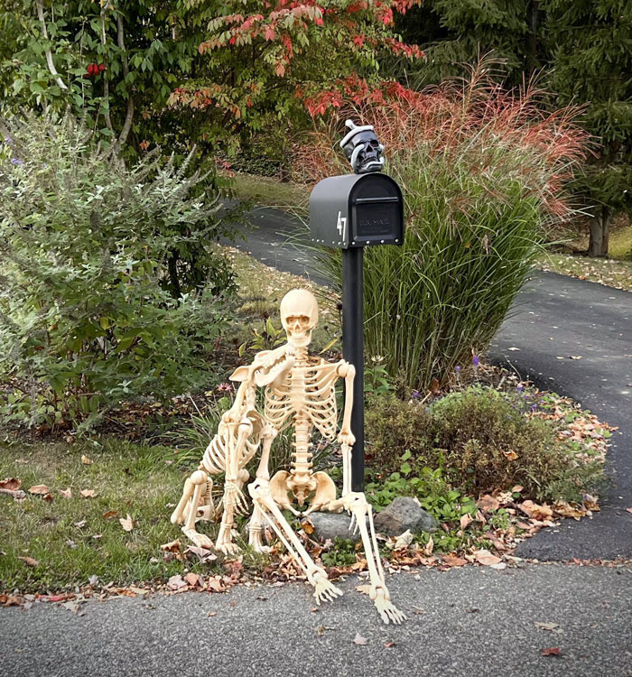 Our Little Skeleton Setup