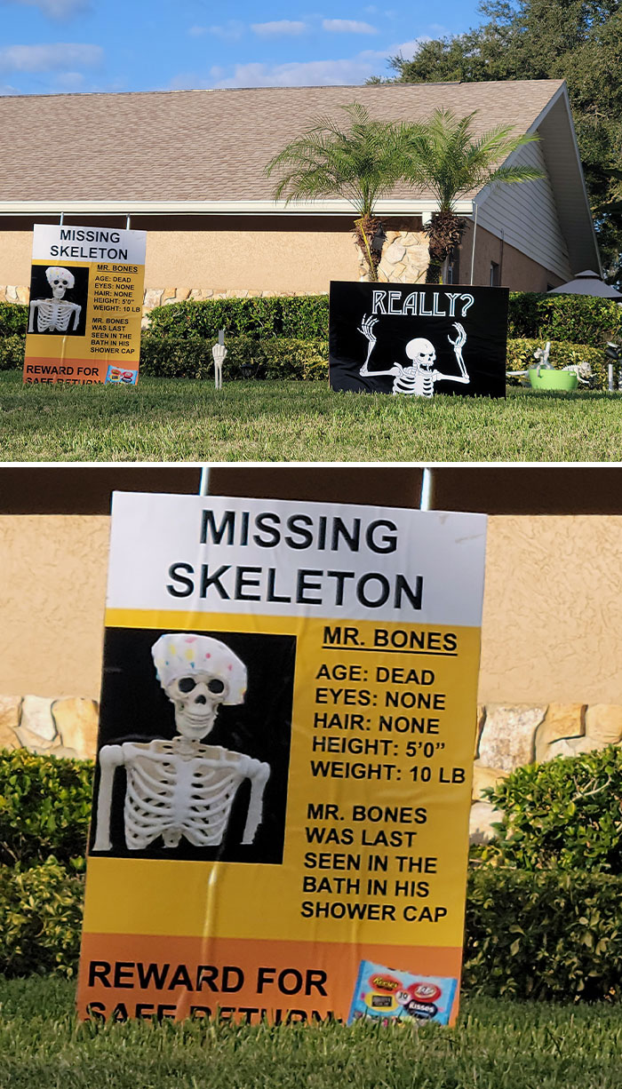 Someone Stole My Neighbor's Skeleton