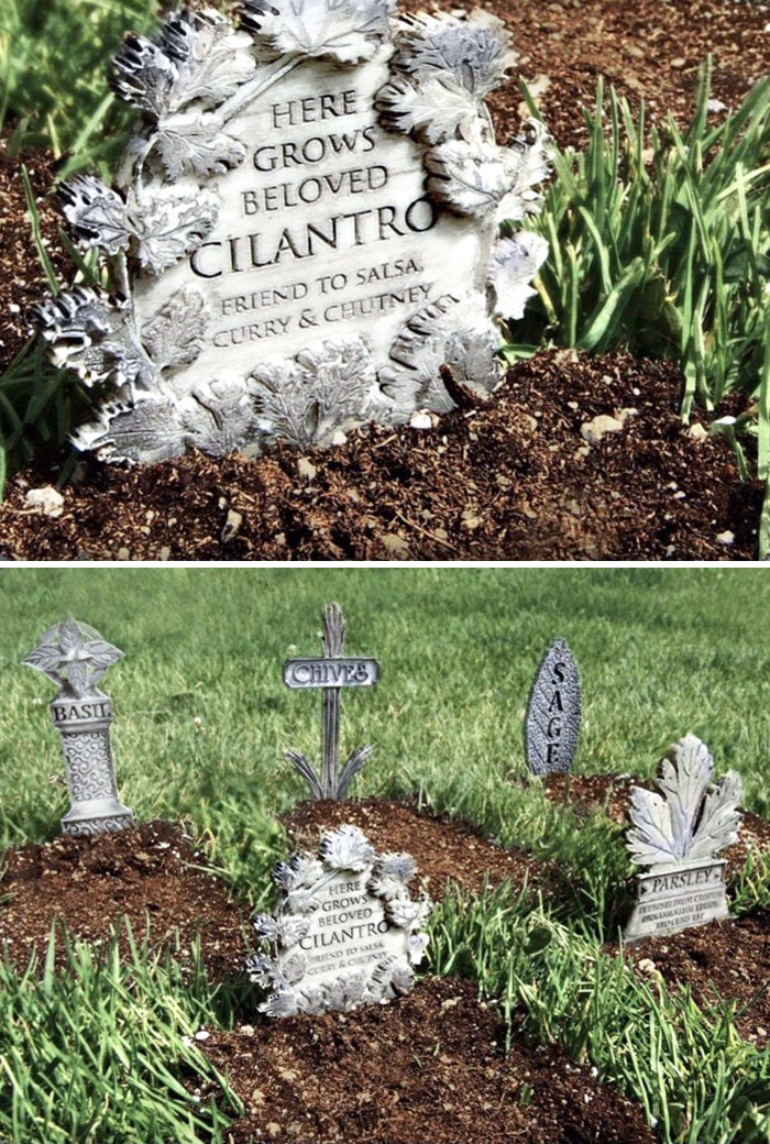 I Am Incapable Of Growing Any Edible Plants, So These Tombstone Plant Markers Would Be Awesome