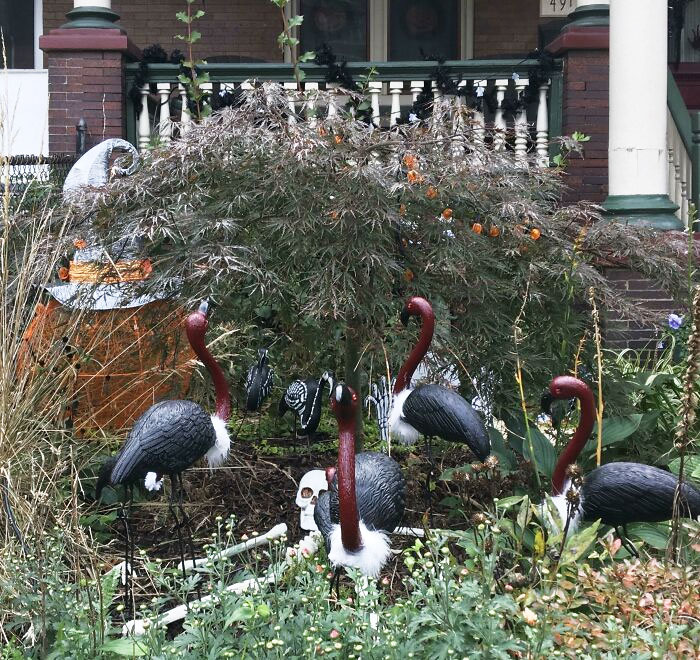 My Neighbor Turned Lawn Flamingos Into Vultures For Halloween