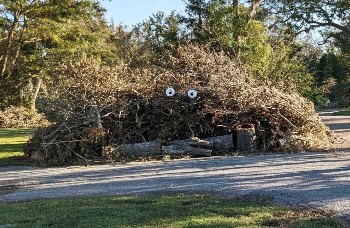I Decorated My Hurricane Ian Debris For Halloween