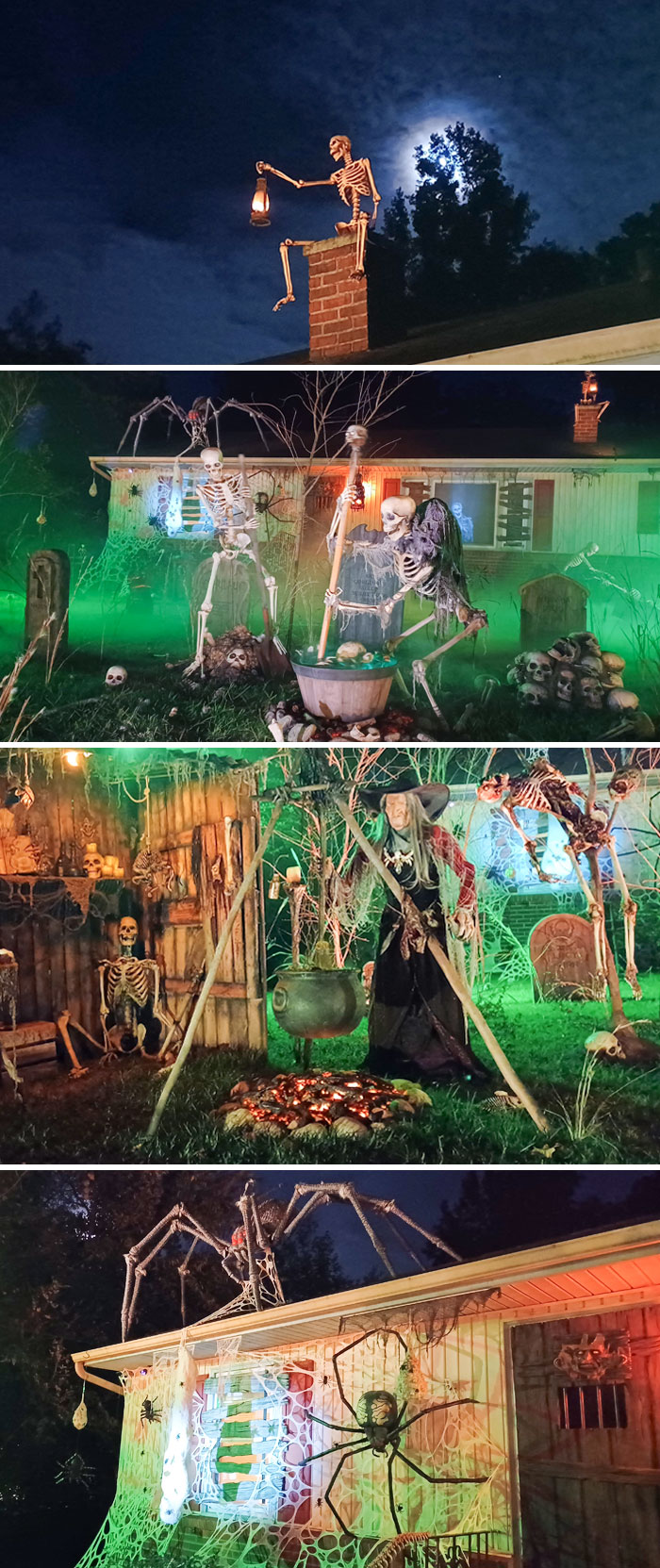 Some Of My Favorite Photos Of Our Display So Far This Season