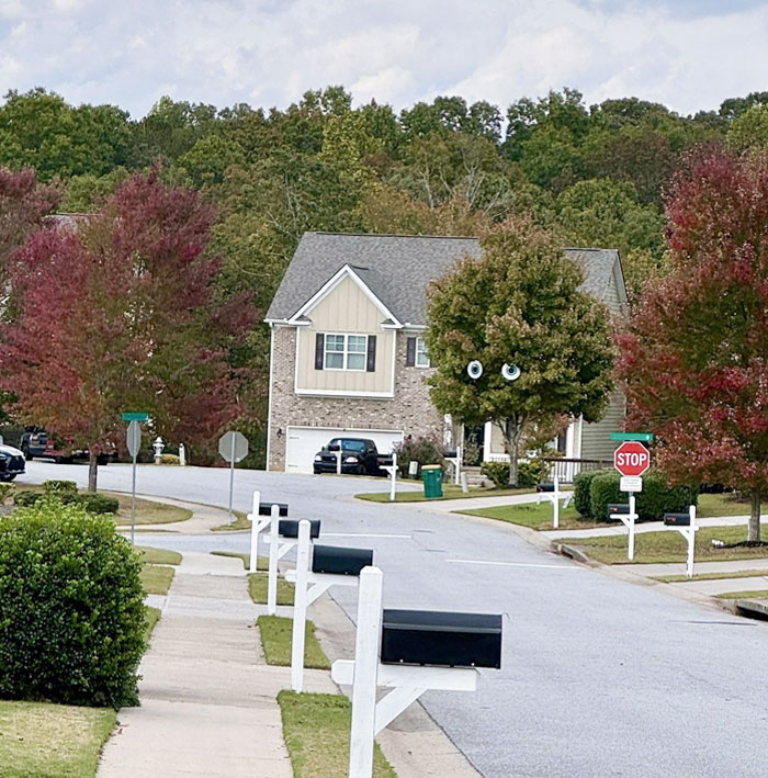 Neighbors Gave Their Tree Eyes For Halloween
