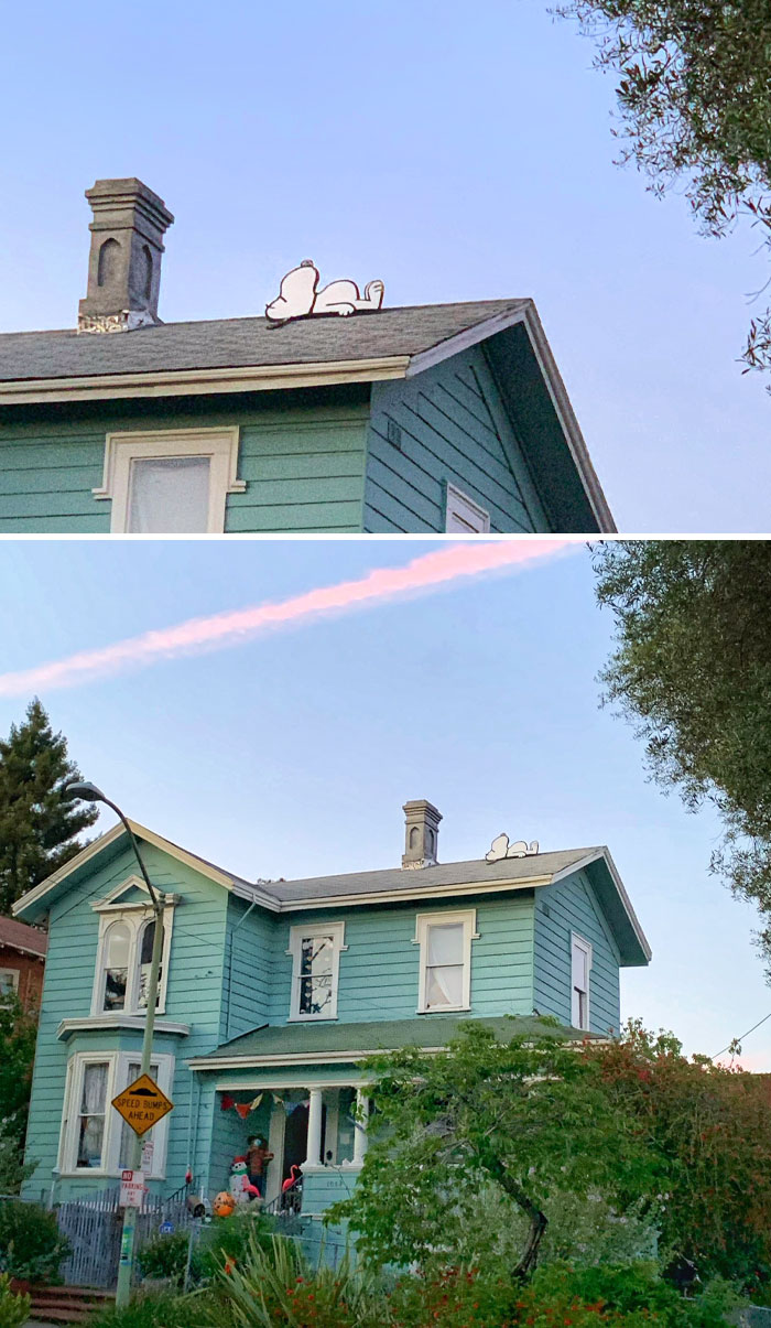 I Found A Snoopy House On My Walk