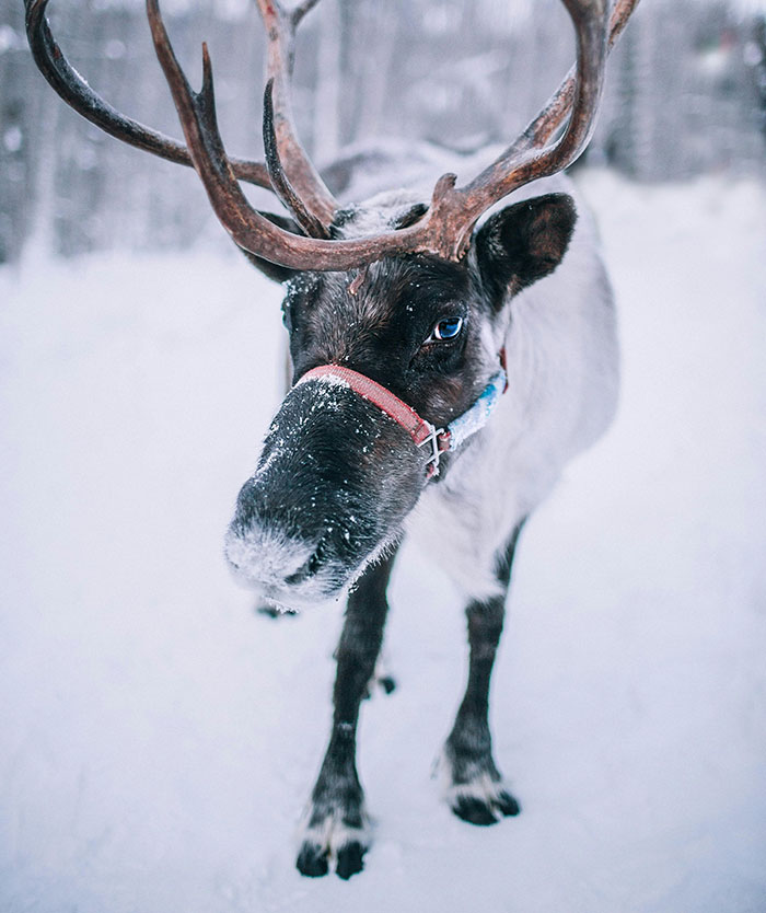 “Oxen Are Just Employed Cows”: People Share 40 Things They Learned Embarrassingly Late In Life