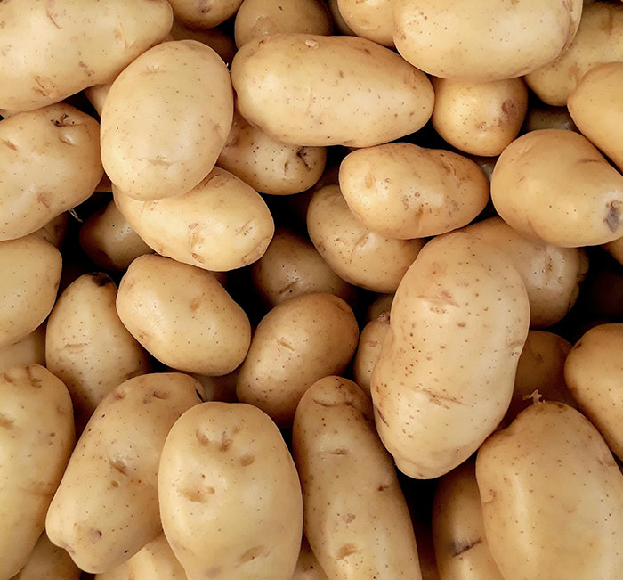 “Oxen Are Just Employed Cows”: People Share 40 Things They Learned Embarrassingly Late In Life