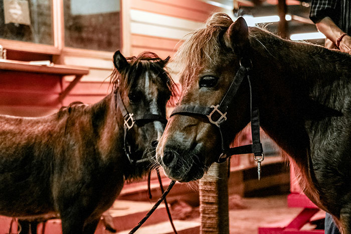 “Oxen Are Just Employed Cows”: People Share 40 Things They Learned Embarrassingly Late In Life