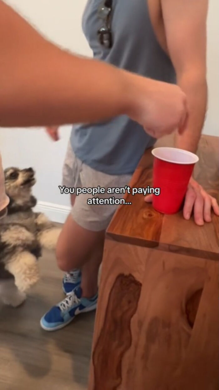 Woman &ldquo;Spikes&rdquo; Friends&rsquo; Drinks At A Party To Prove A Frightening Point, Goes Viral