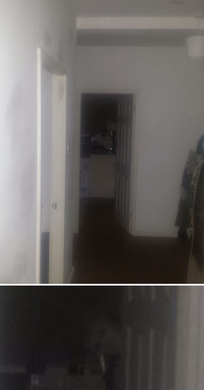 After Hearing Taps And Noises From My Kitchen I Take A Photo And See This