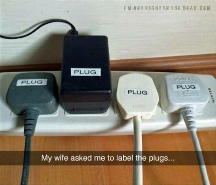 Power strip with four plugs labeled PLUG humorously illustrating memes and jokes combining science and humor perfectly.