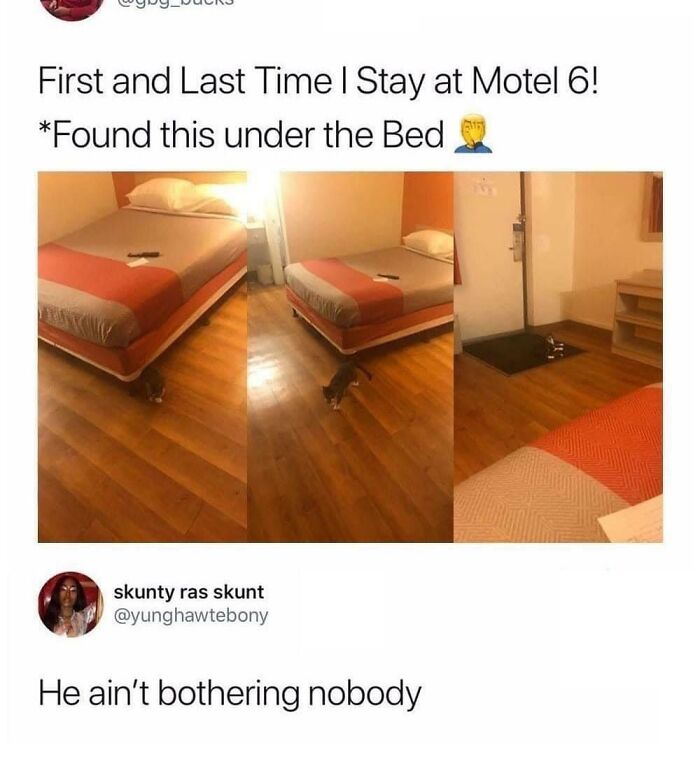 Funny-Chonky-Woofers-For-My-Depression-Memes