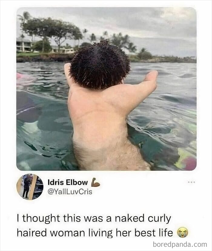 Funny-Comment-Awards